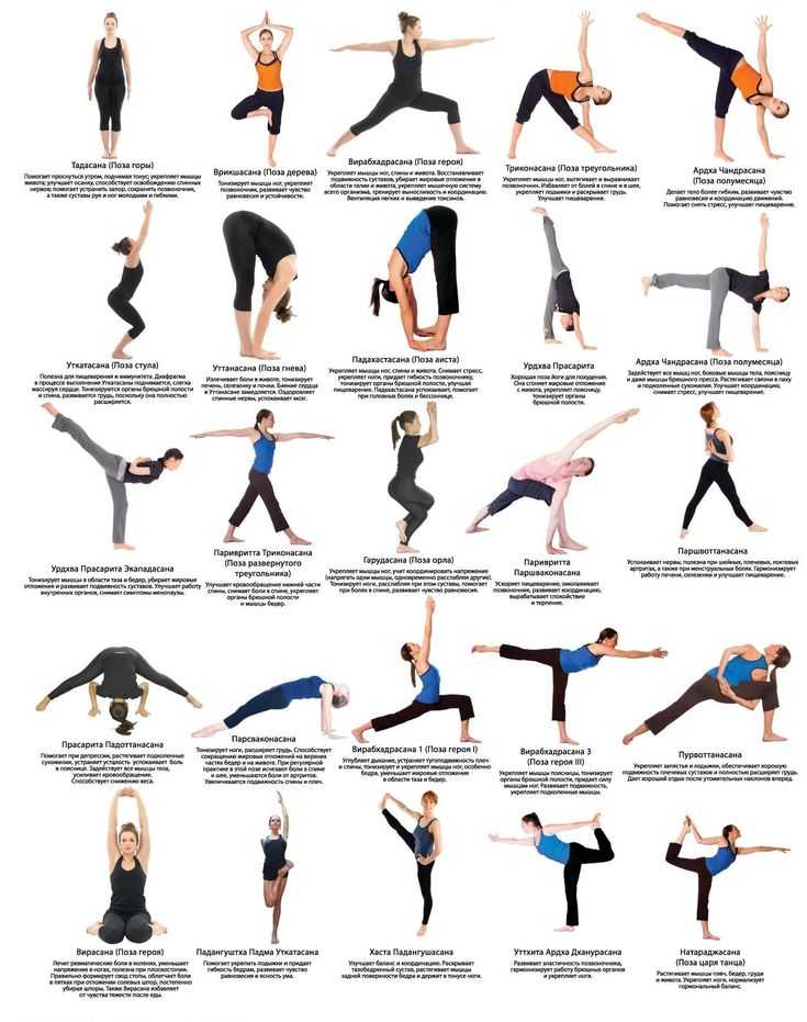 Йога для начинающих - упражнения (позы, асаны)