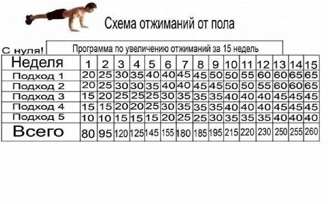 Программы отжиманий от пола: таблицы для девушек и мужчин | rulebody.ru — правила тела