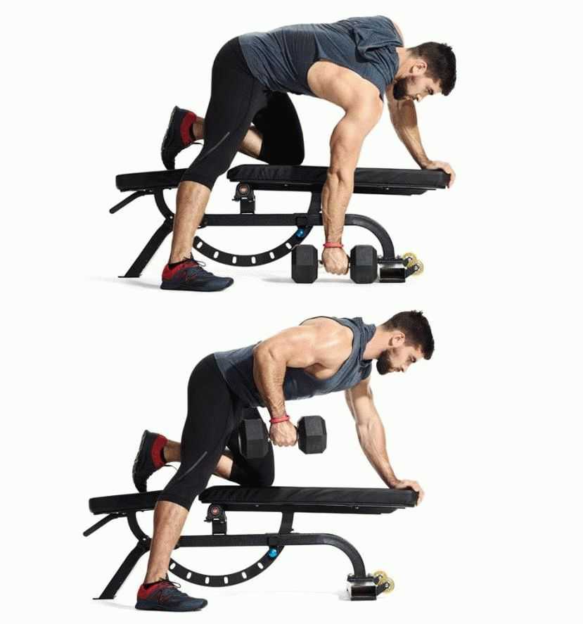 Упражнения для мышц спины в зале: 8 эффективных упражнений