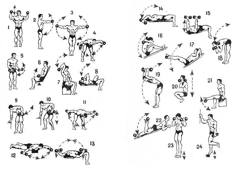 Упражнения с гантелями для женщин в домашних условиях, комплексы упражнений для проблемных участков тела