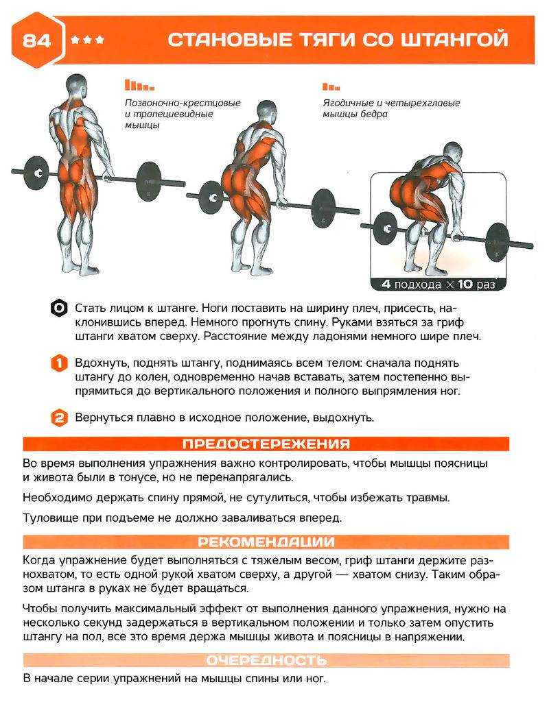 Правильная техника выполнения разных видов Становой Тяги Задействованные мышцы и видео выполнения упражнений