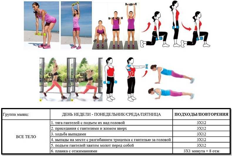 Программы тренировок дома для похудения девушек на все группы мышц: лучшие комплексы упражнений