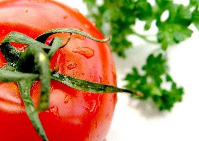 14 интересных фактов о пользе помидоров для организма человека