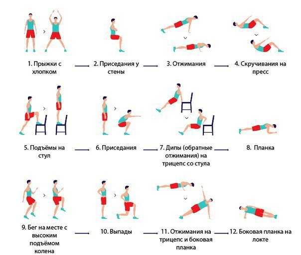 Комплексы упражнений для утренней гимнастики с видео — регулярность и польза занятий для оздоровления
