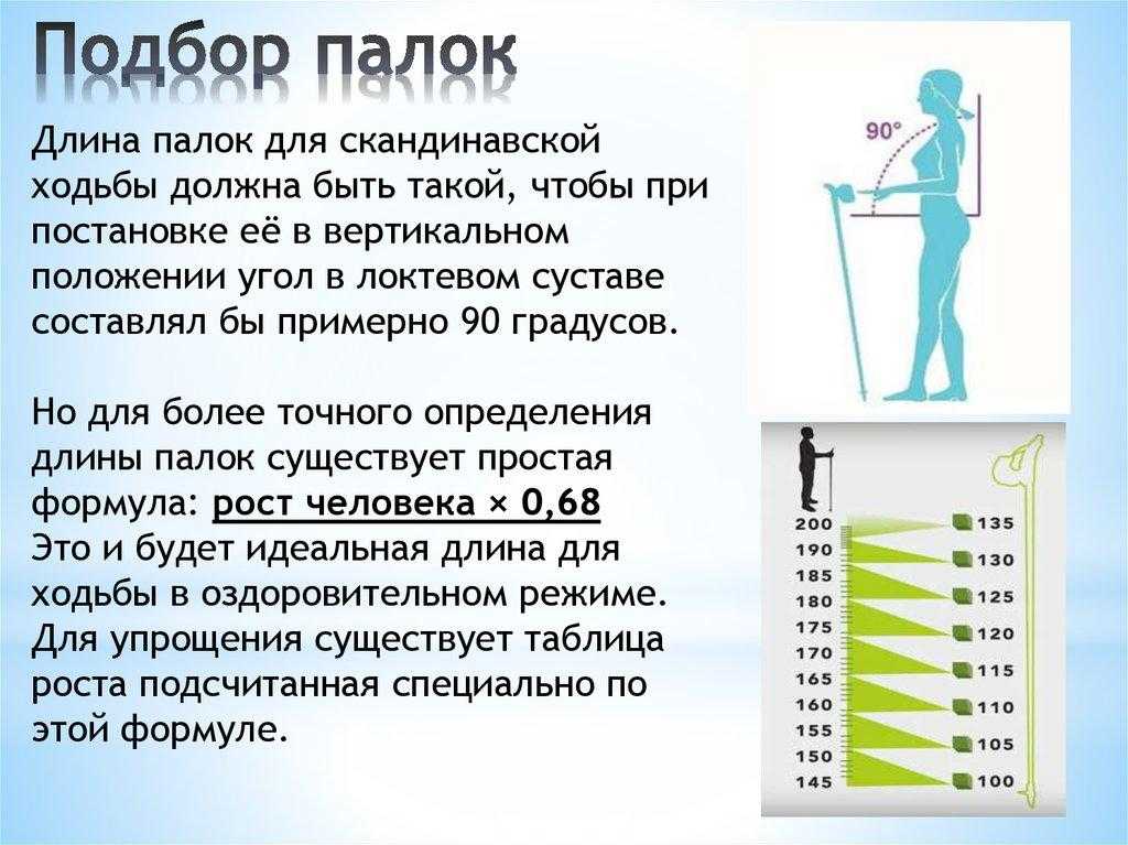 710 какая длина. Палки для скандинавской ходьбы Размеры. Палки для скандинавской ходьбы на рост 168 см. Размер палки для скандинавской ходьбы на рост 170. Правильная регулировка палок для скандинавской ходьбы.