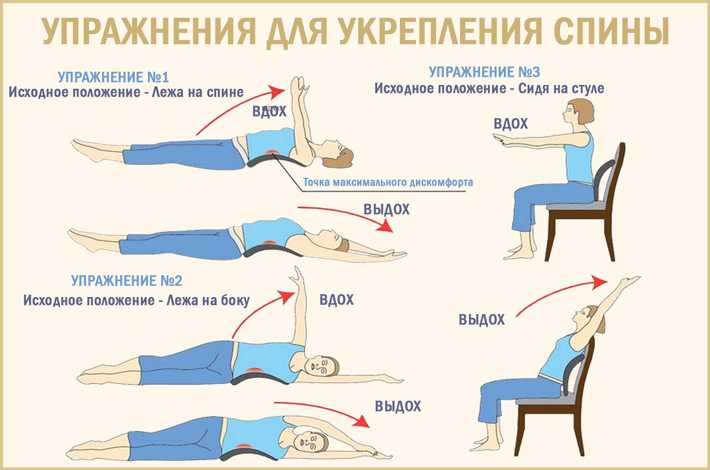 Комплекс упражнений, чтобы укрепить мышцы спины в домашних условиях