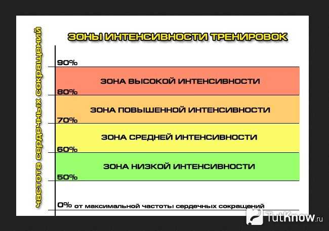 Важность контроля частоты пульса при занятиях спортом — #sekta: информационный портал