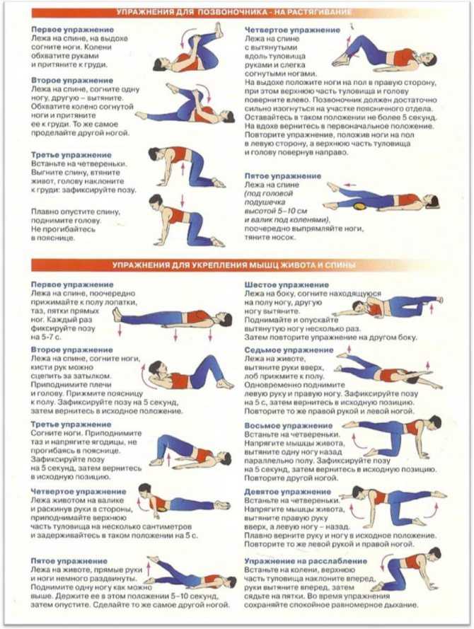 Упражнения для спины: в домашних условиях и в тренажерном зале