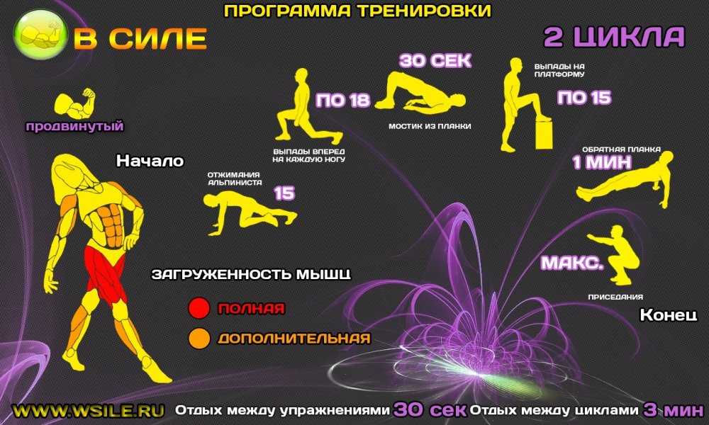 Круговая тренировка для мужчин в домашних условиях: с гантелями на жиросжигание, тренинг дома на все тело для мышц и сжигания жира