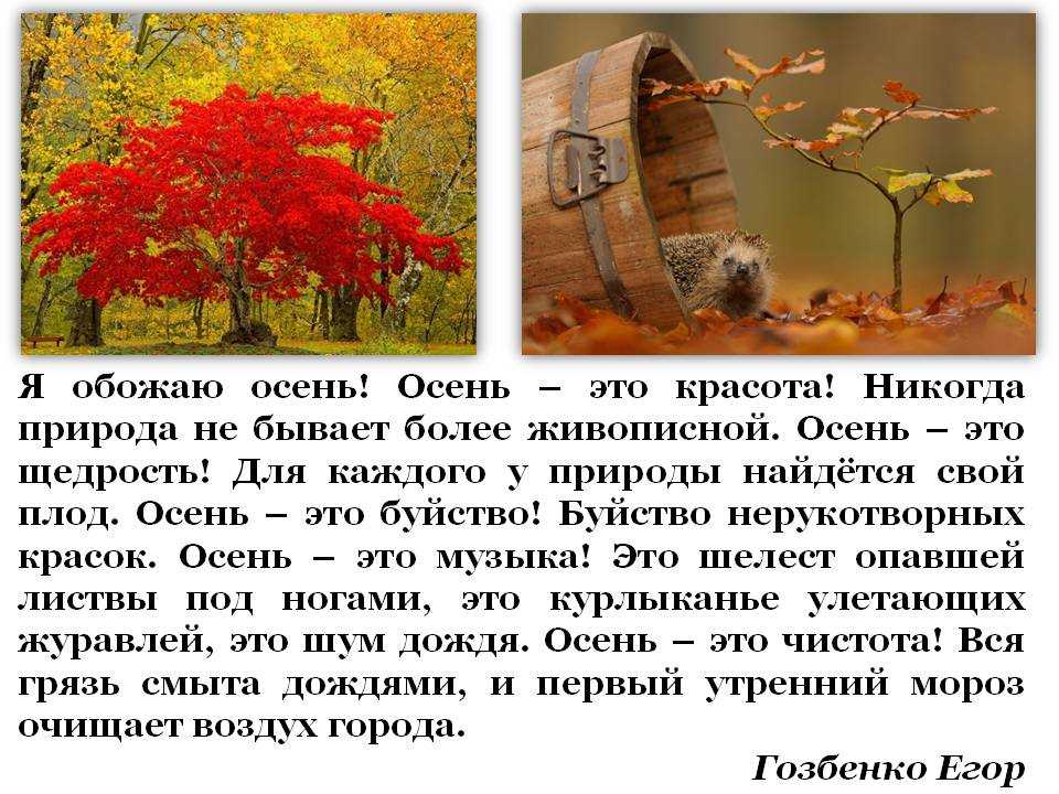Природа москвы сочинение. Сочинение про осень. Сочинение на тему осень. Соченение на тему осен. Описание осенней природы.