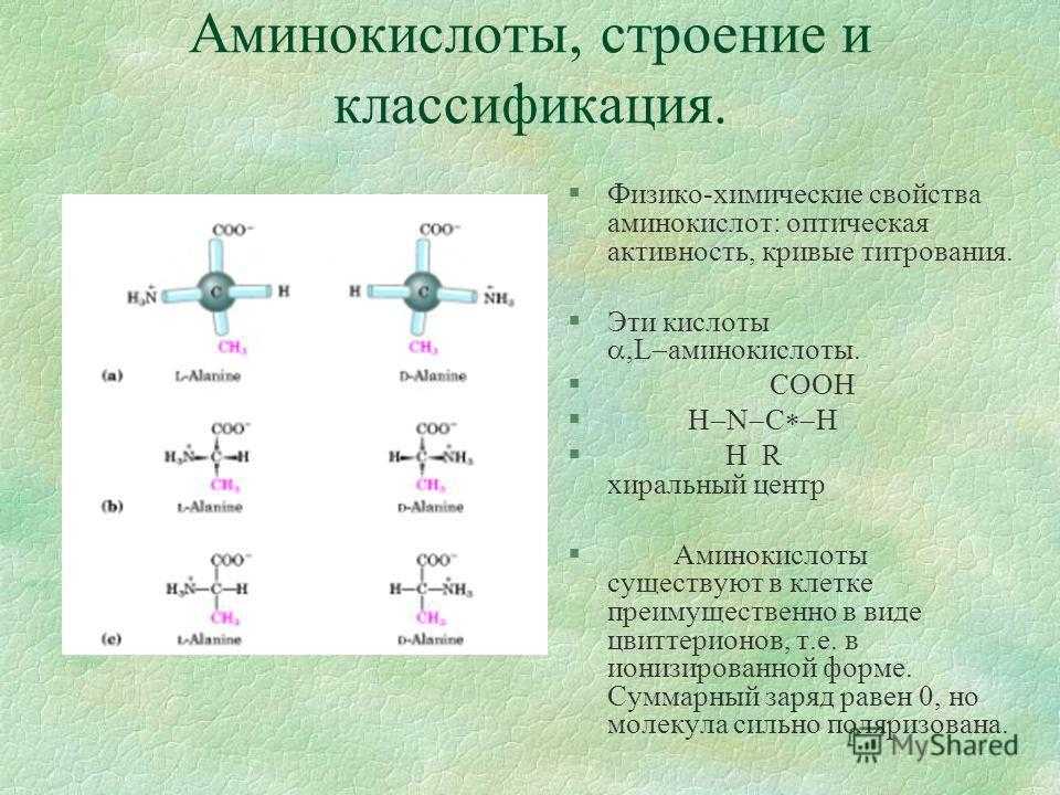 Главные аминокислоты. Структура Альфа аминокислоты. Строение Альфа аминокислот. Структура природных аминокислот. Аминокислоты строение и классификация.