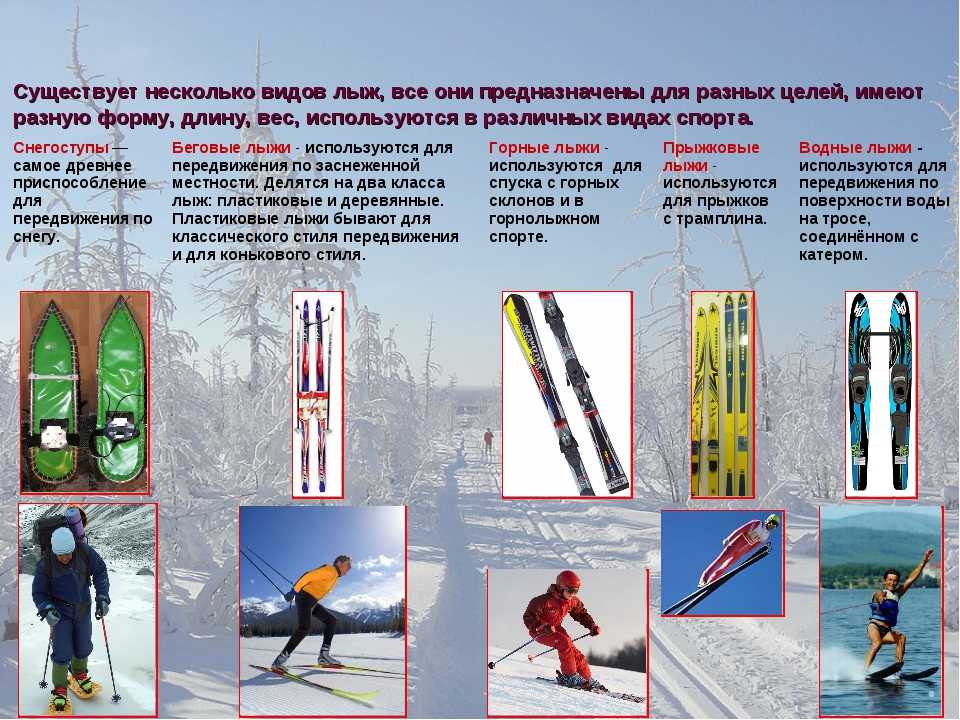 Польза и виды лыжной ходьбы для начинающих | irksportmol.ru