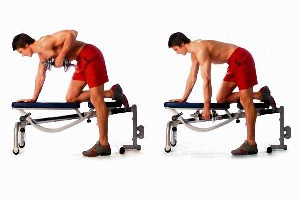 Упражнения для укрепления мышц спины в домашних условиях