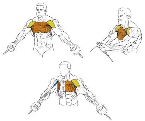 Кроссовер - упражнение для проработки грудных мышц