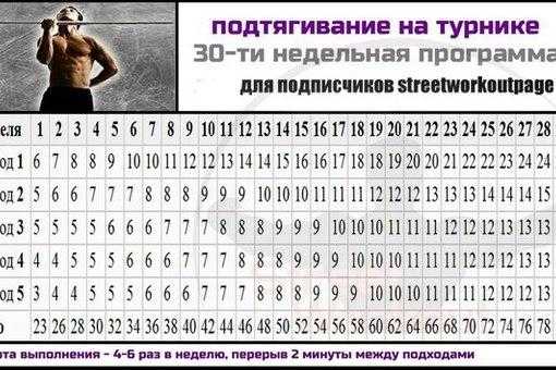 Программа тренировок на турнике