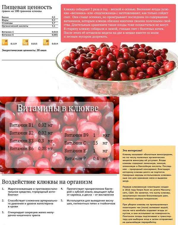 Замороженные ягоды: какие ягоды, как правильно замораживать, хранение, польза