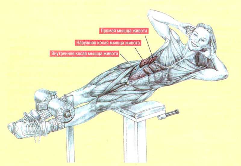 Скручивания на боку: правильная техника выполнения скручиваний на боку для иннервации косых мышц живота