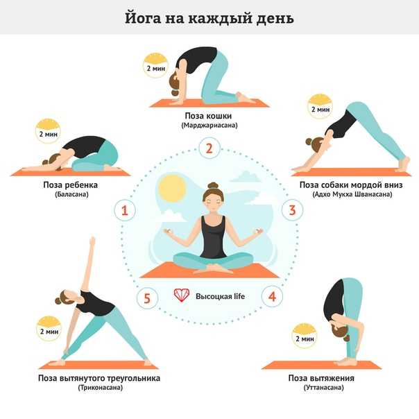 Основы йоги для начинающих