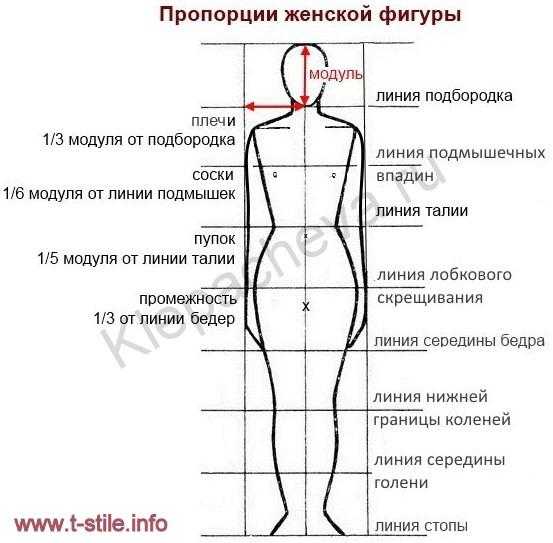 Тело насколько. Золотое сечение пропорция тела женщины. Идеальные пропорции фигуры. Идеальные пропорции женского тела. Идеальные пропорции женской фигуры.