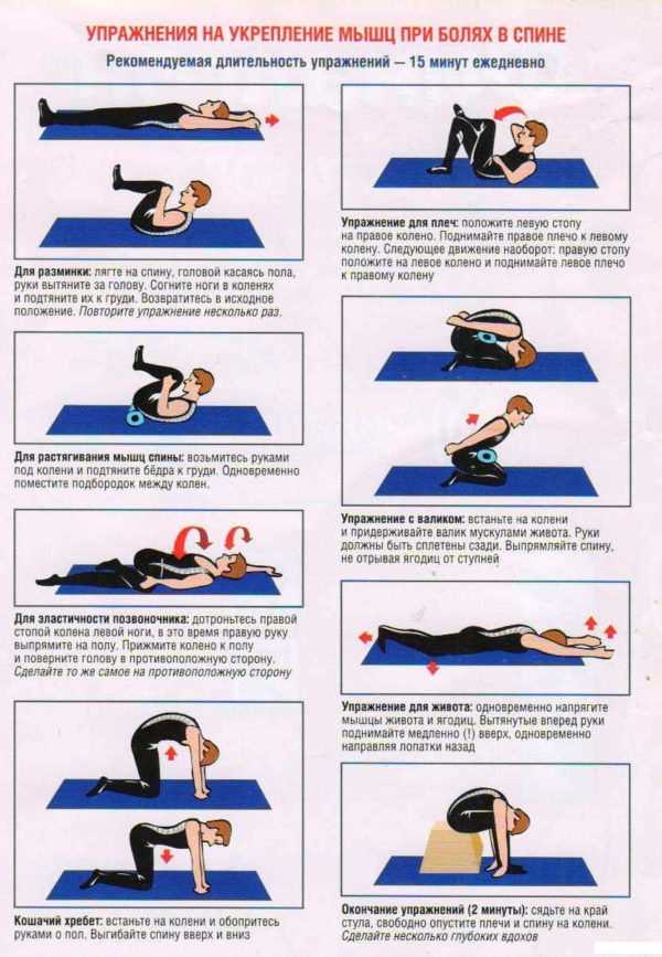 Упражнения для укрепления мышц спины и поясницы в домашних условиях