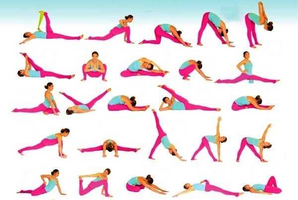 52 упражнения для растяжки: стретчинг для начинающих в домашних условиях