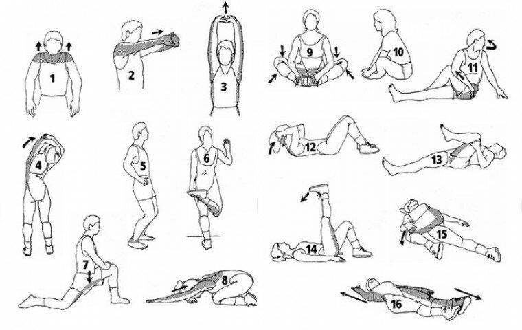 Развитие силы: программа тренировок, лучшие упражнения для увеличения силы ног и рук