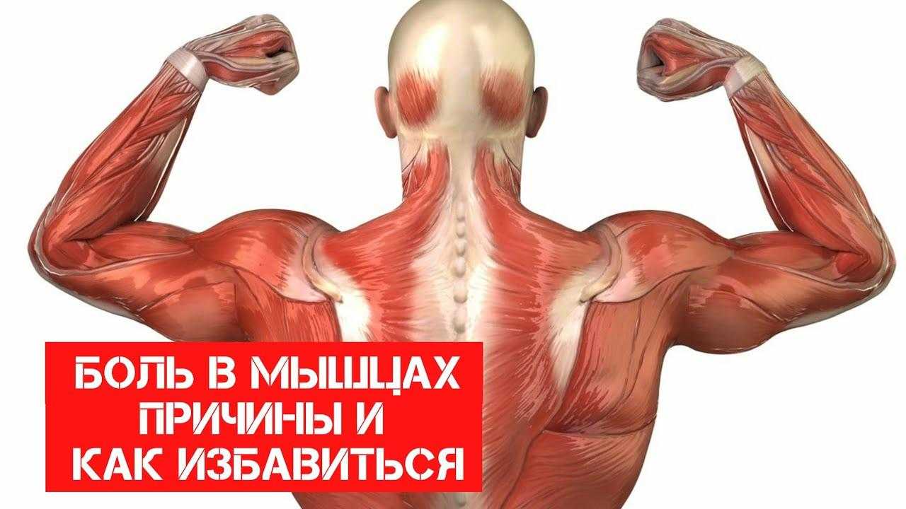 Как снять боль в мышцах | методы лечения заболеваний