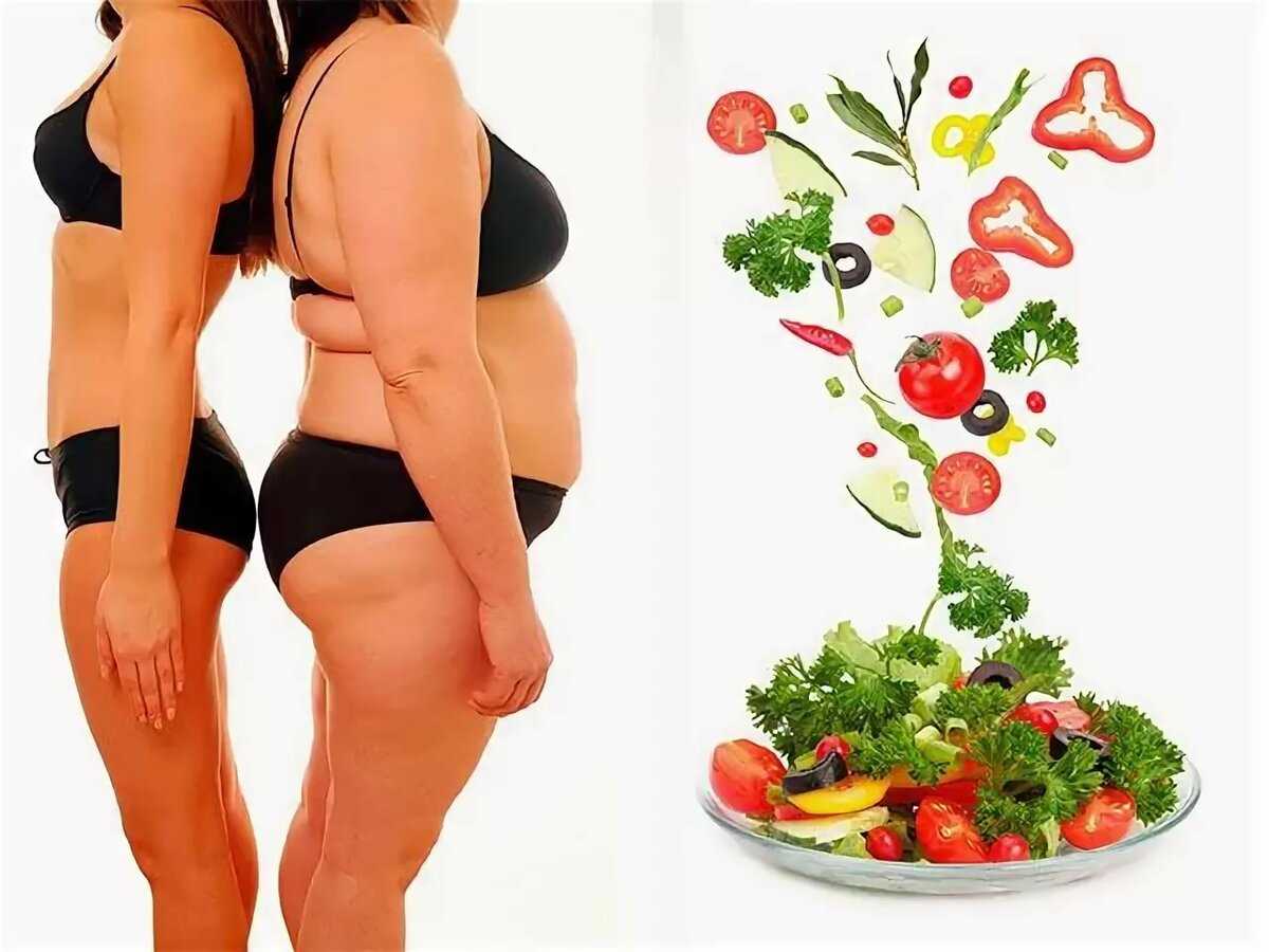 10 принципов правильного питания для снижения веса