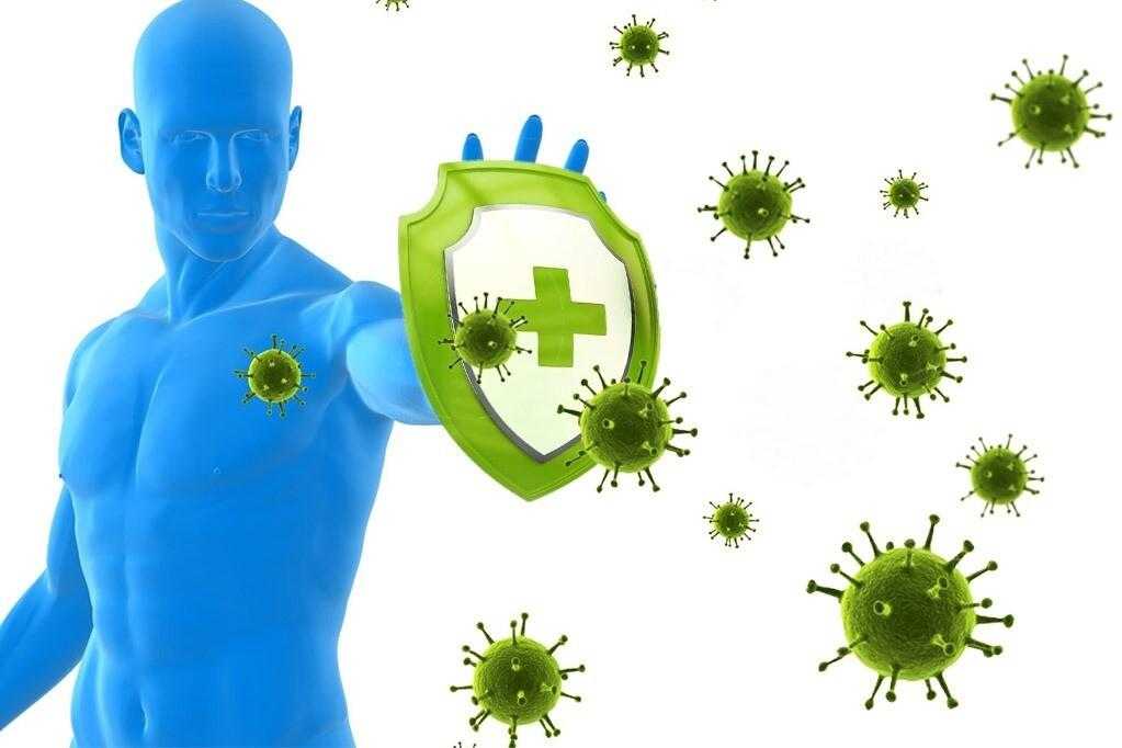 Подборка продуктов для сильного иммунитета, которые обеспечат поступление полезных веществ, избавят от инфекций и вирусов, поддержат организм в целом