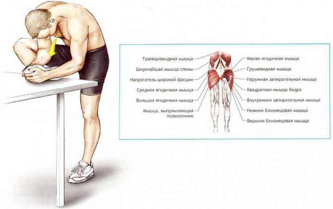 Как восстановить мышцы после тренировки и избавиться от боли в них