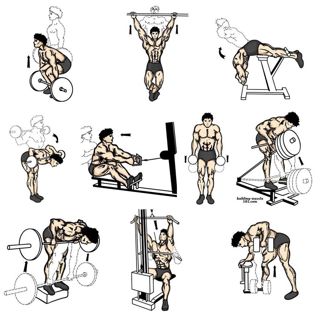 Упражнения для спины в тренажерном зале (в картинках) | фитнес