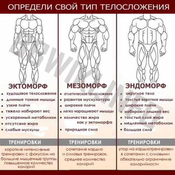 Эктоморф: кто это, какое у них телосложение и как определить?