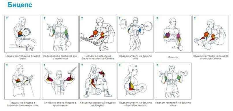 Тренировки hasfit: для начинающих, для пожилых людей, при травмах и при болях в различных частях тела (колени, спина, шея)