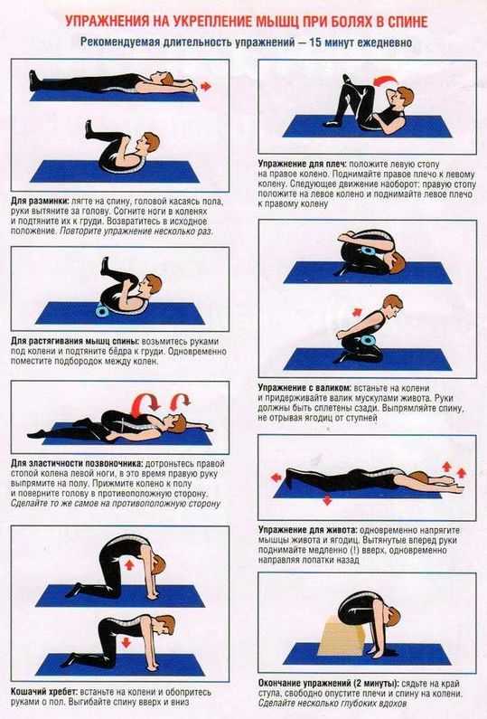 Топ-20 упражнений для гибкости спины: для начинающих и для продвинутых