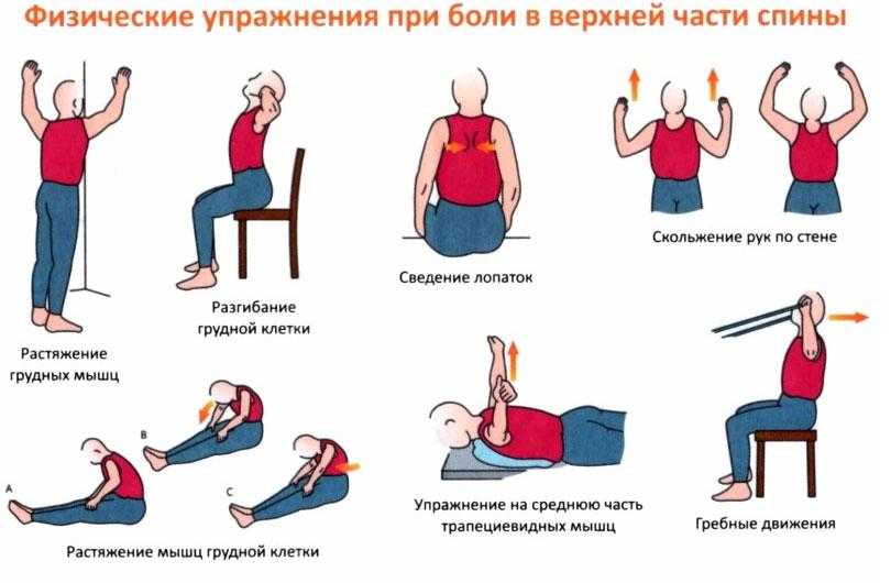 Как укрепить мышцы шеи: подробное описание курса упражнений