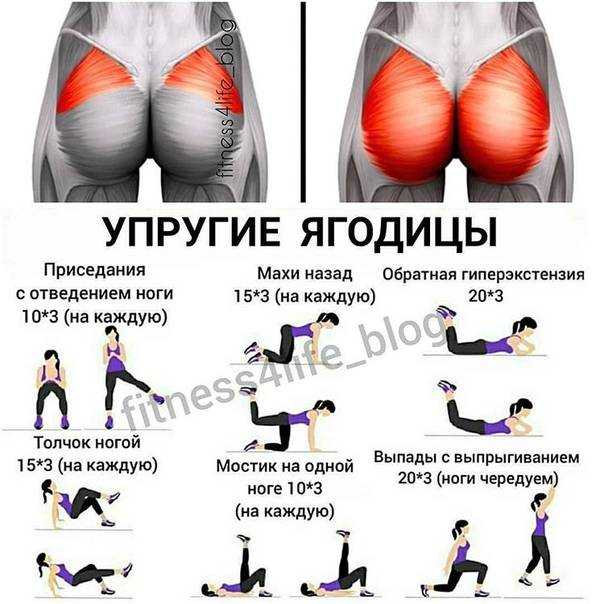 Топ 10 эффективных упражнений для тренировки ягодицы в домашних условиях | rulebody.ru — правила тела