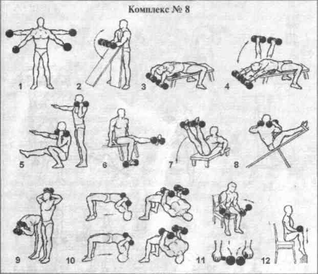 Лучшие комплексы упражнений с гантелями для мужчин в домашних условиях на все группы мышц