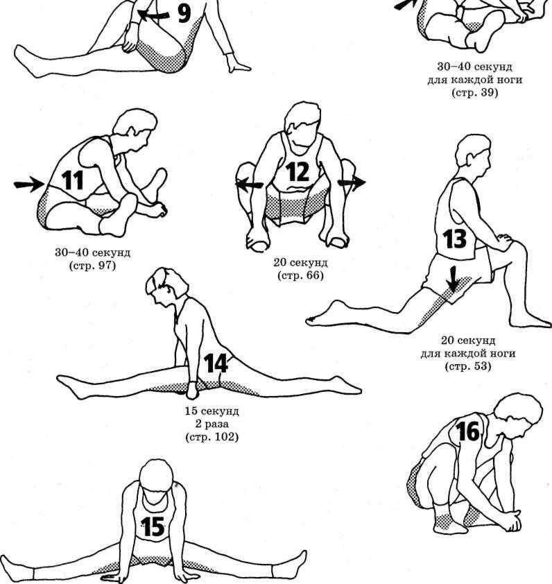 ТОП-30 упражнений для растяжки ног: стоя и лежа (ФОТО)