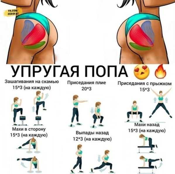 Топ 10 эффективных упражнений для тренировки ягодицы в домашних условиях | rulebody.ru — правила тела