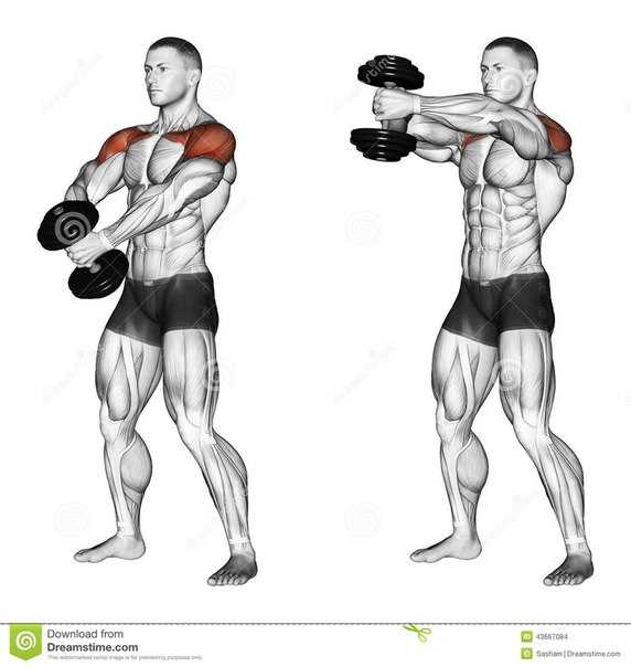 Тренировка плеч