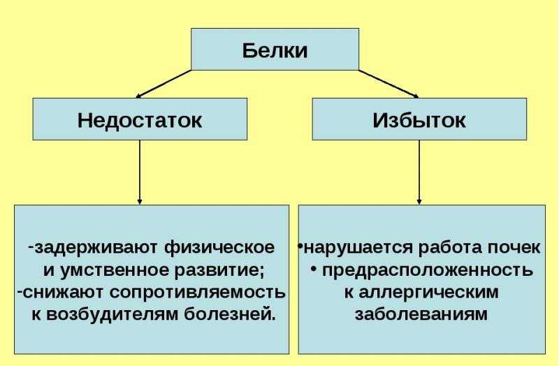Нехватка белка в организме, симптомы, анализы и методы лечения