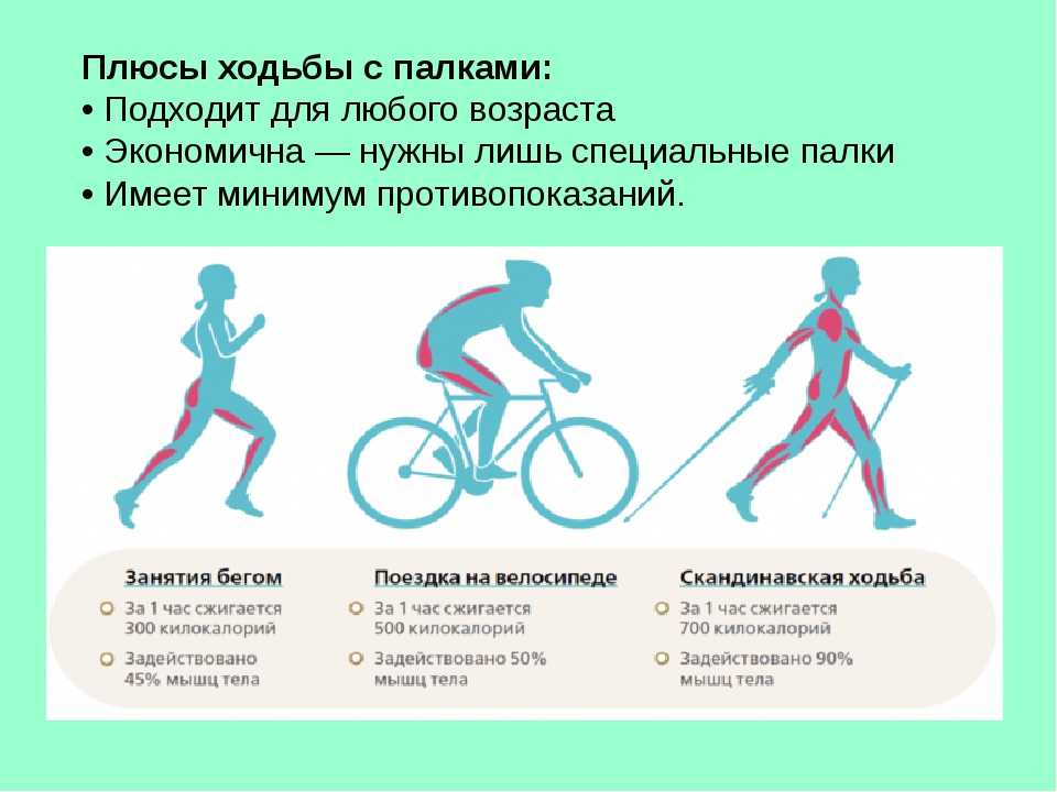 После часа ходьбы. Мышцы при езде на велосипеде. Мышцы задействованные при велосипеде. Велосипед какие мышцы. Мышцы задействованные при беге.