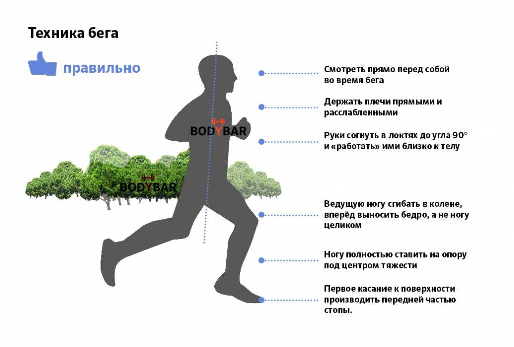 Длительный бег: задачи и особенности продолжительных тренировок