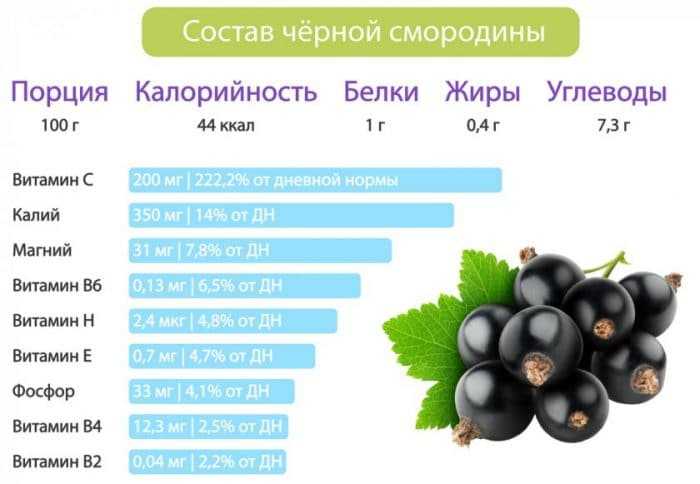 10 правил качественной заморозки ягод и фруктов. какие фрукты и ягоды можно заморозить на зиму. фото — ботаничка.ru