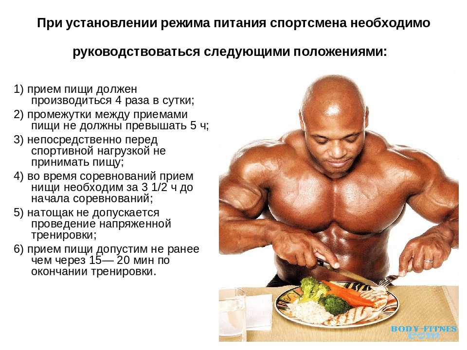 Вреден ли протеин для здоровья? научные исследования | promusculus.ru