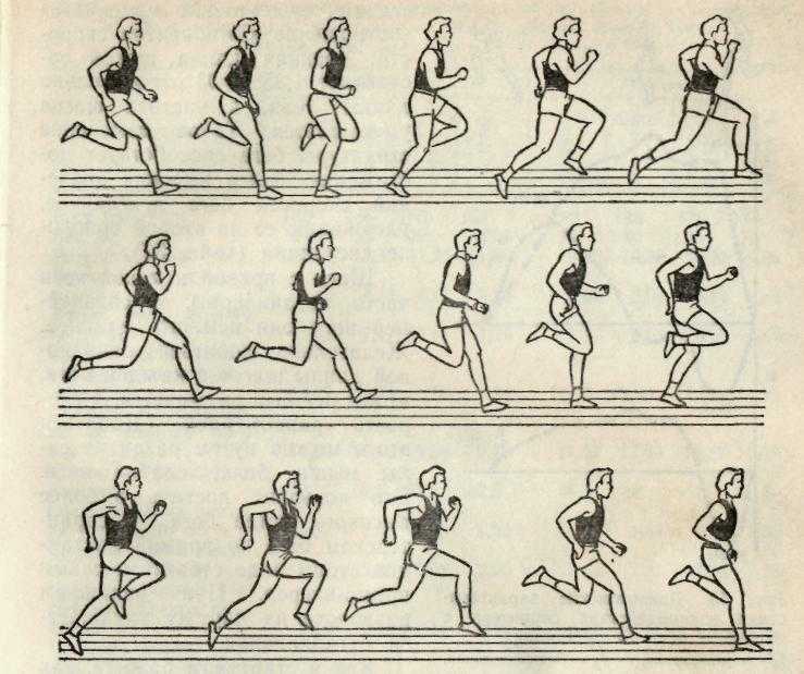 Бег техника для начинающих. Правильное отталкивание в беге. Длительный бег схема. Техника бега для начинающих. Техника бега 400м для длинноногих.