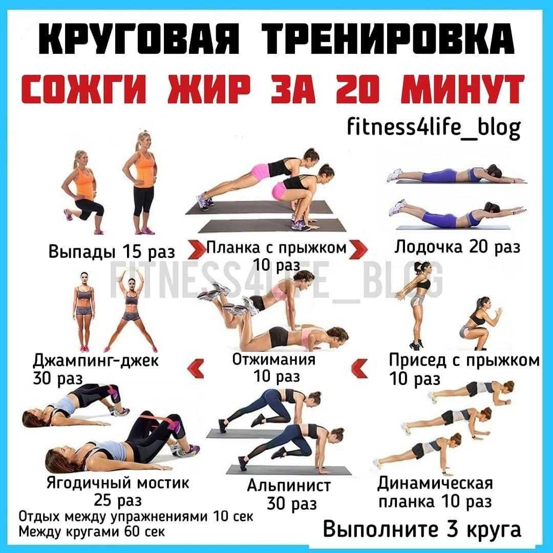 Это готовый план силовых тренировок с гантелями для девушек (>30 упражнений) + расписание на неделю для тонуса мышц и мускулатуры в домашних условиях