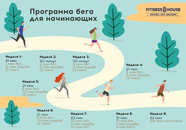 Бег для похудения: сколько нужно бегать, таблица и программа тренировок для начинающих