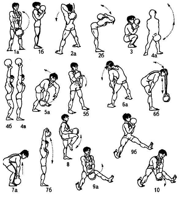 Упражнения для круговой тренировки на все группы мышц: варианты программы с гирей для мужчин, комплексы для начинающих и опытных спортсменов