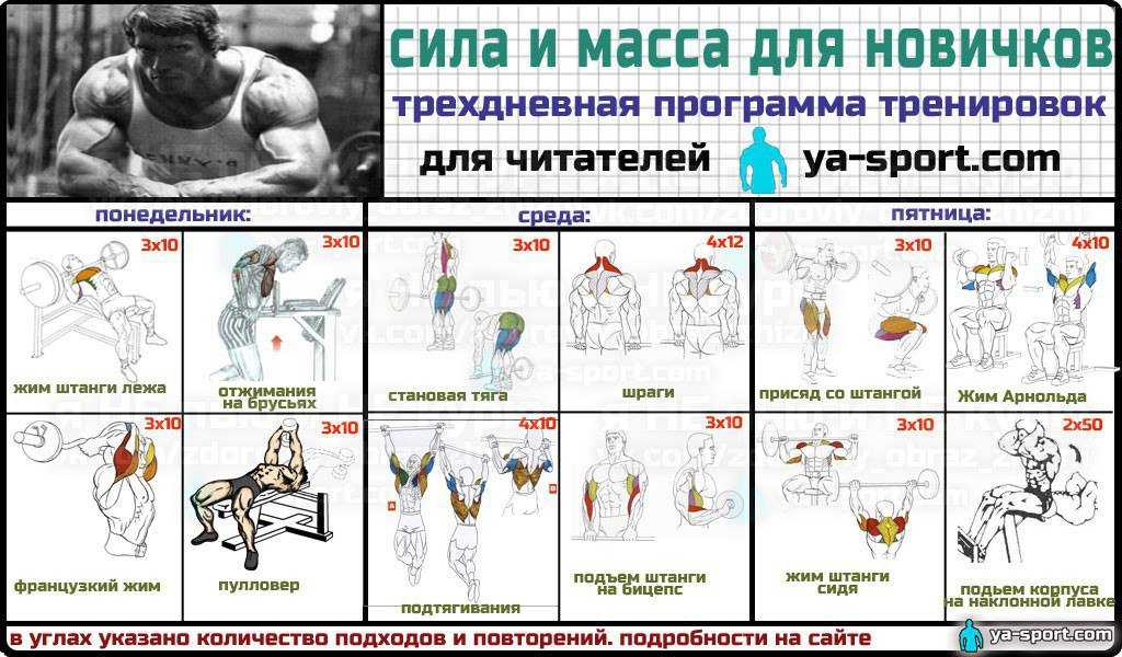 Какой должна быть жиросжигающая тренировка для мужчины?